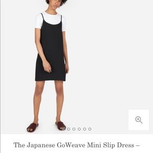Everlane Japanese GoWeave mini slip dress